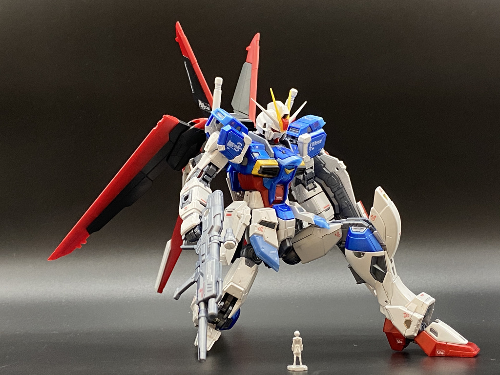 限定品レビュー フォースインパルスガンダム［チタニウム