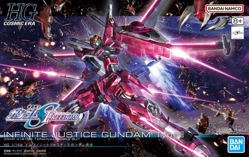 HGCE インフィニットジャスティスガンダム弍式 / ガンプラ 完成品 2