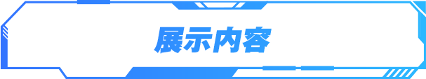 展示内容
