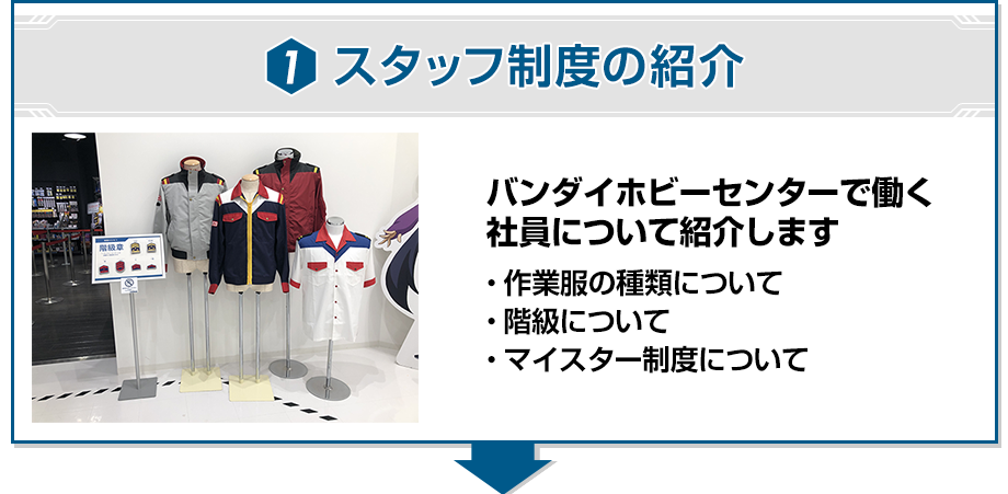 1 スタッフ制度の紹介