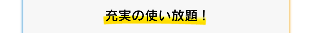 充実の使い放題